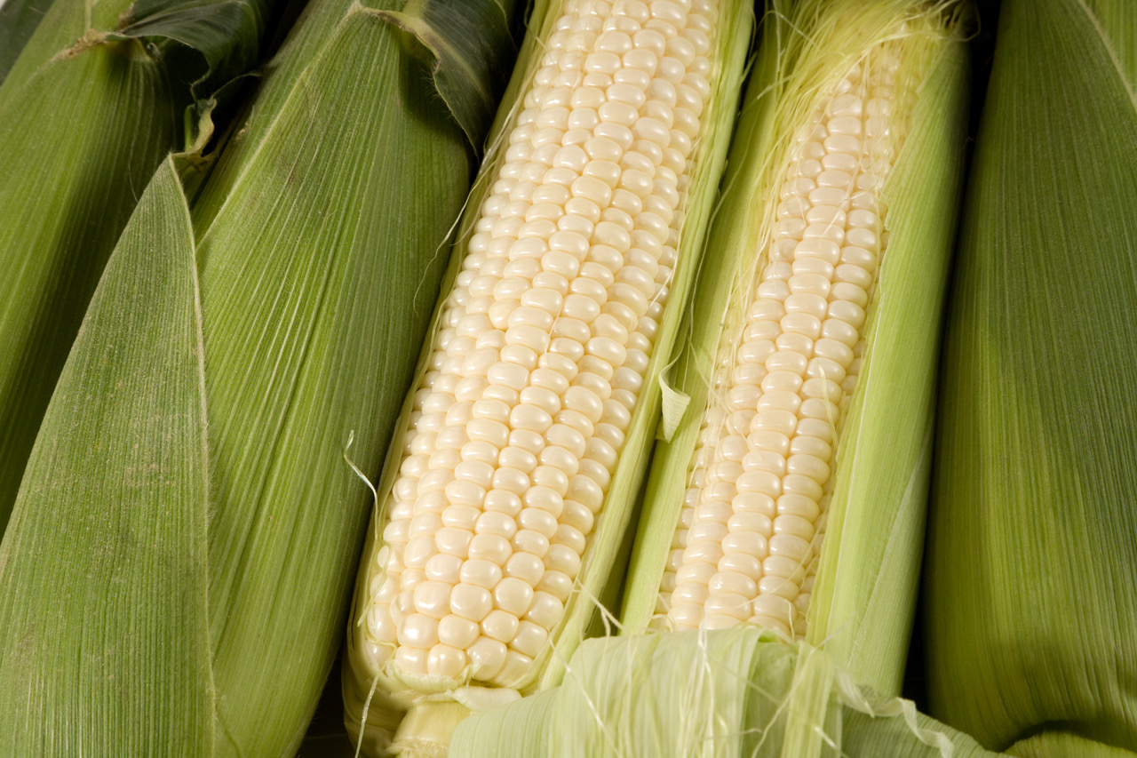 iStock-91704945.jpeg